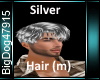[BD]SilverHair (m)