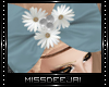 *MD*New Age Bow|1