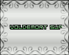 C** Voldemort Supporter