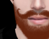 K | Bettah Beard Ginger