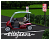 Golf Cart Parking Lot