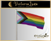 Pride Flag 2