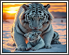 ❄ White Tiger&Cub BG