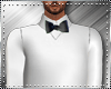 Sweater +Shirt +Tie Drv.