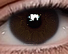 ✔ Eyes