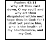 Psalm 43:11 scripture