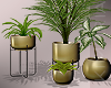 Lux Plant Set 3