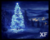 XF - Winter Season