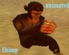 Chimp-Monkey Animated