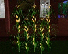 Fall Indian Corn Stalk 5
