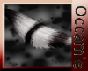 Conquest  Black Tail