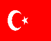 Turk Bayragi