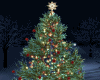 CHRISTMAS TREE w POSES