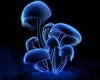 Blue Mushroom Radio