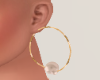 SC Pearl Gold earrings