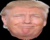 Donald Trump 3.0 Head