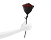 Twilight Rose 👑