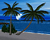 Island Beach Club