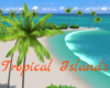 #Tropical Islands