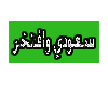 {L}Saudia stickers