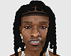 Twist Braids Locs