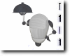 Server Droid