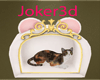 Sweet kitten