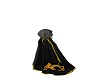 Dragon Cloak