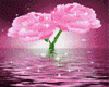 rug (Rose )