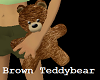 B/Doll Brown Teddybear