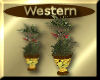 [my]Western Plant in Pot