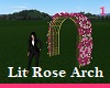 Lit Rose Arch 1