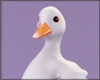 $ Silly Goose