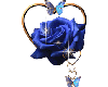 blue rose with heart