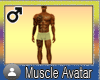 Muscle Avatar II