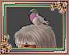 *Head Animated Pigeon