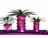 Purple Planter