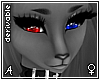 A| Drv. Zenala 2T Head