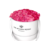 🌹Rose Box HP