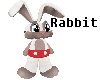 Rabbit Boy