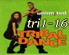 Tribal Dance-Remix