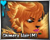 D~Chimera: Hair (M)