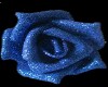 Rose Sparkle Blue