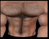 Real Hairy Mens Cheast