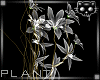 Plant Grey 3b Ⓚ