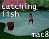 Catching Fish