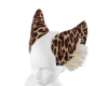 cute furry ears leopard