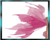 e-Pink Butterfly Wings