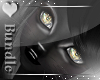 Sexy Black Cat -Bundle