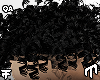 Lightskin Curls - Black